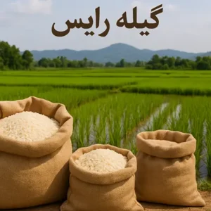 راهنمای جامع خرید برنج
