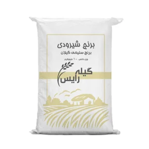 برنج شیرودی