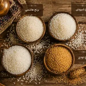 تصویر انواع برنج ایرانی شامل برنج هاشمی، شیرودی، دم سیاه و برنج دودی در کنار هم